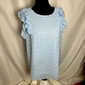 NWOT Short sleeved, Ruffle Top, capped sleeve, lined and chenille dots